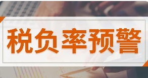 一般纳税人税负率是什么